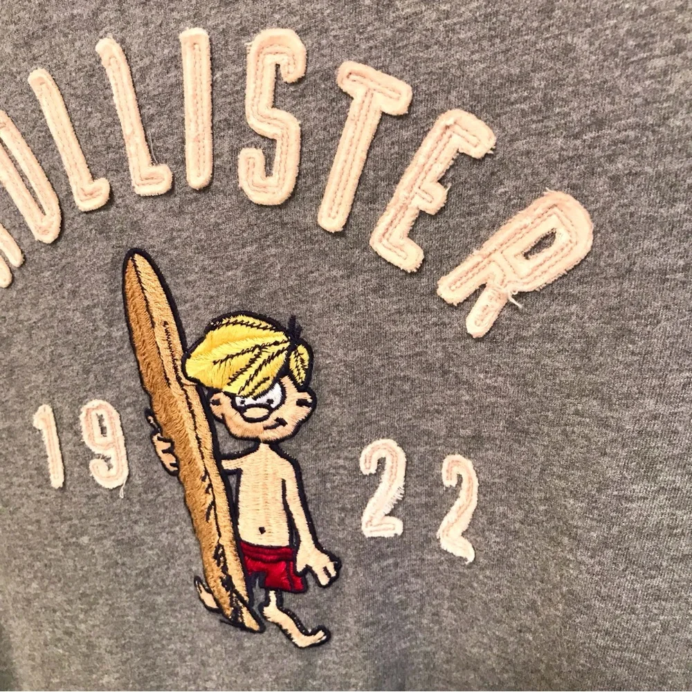 Vintage Y2K Hollister Embroidered Surfer Man Tee Gray